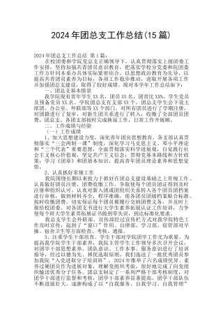 2024年团总支工作总结
