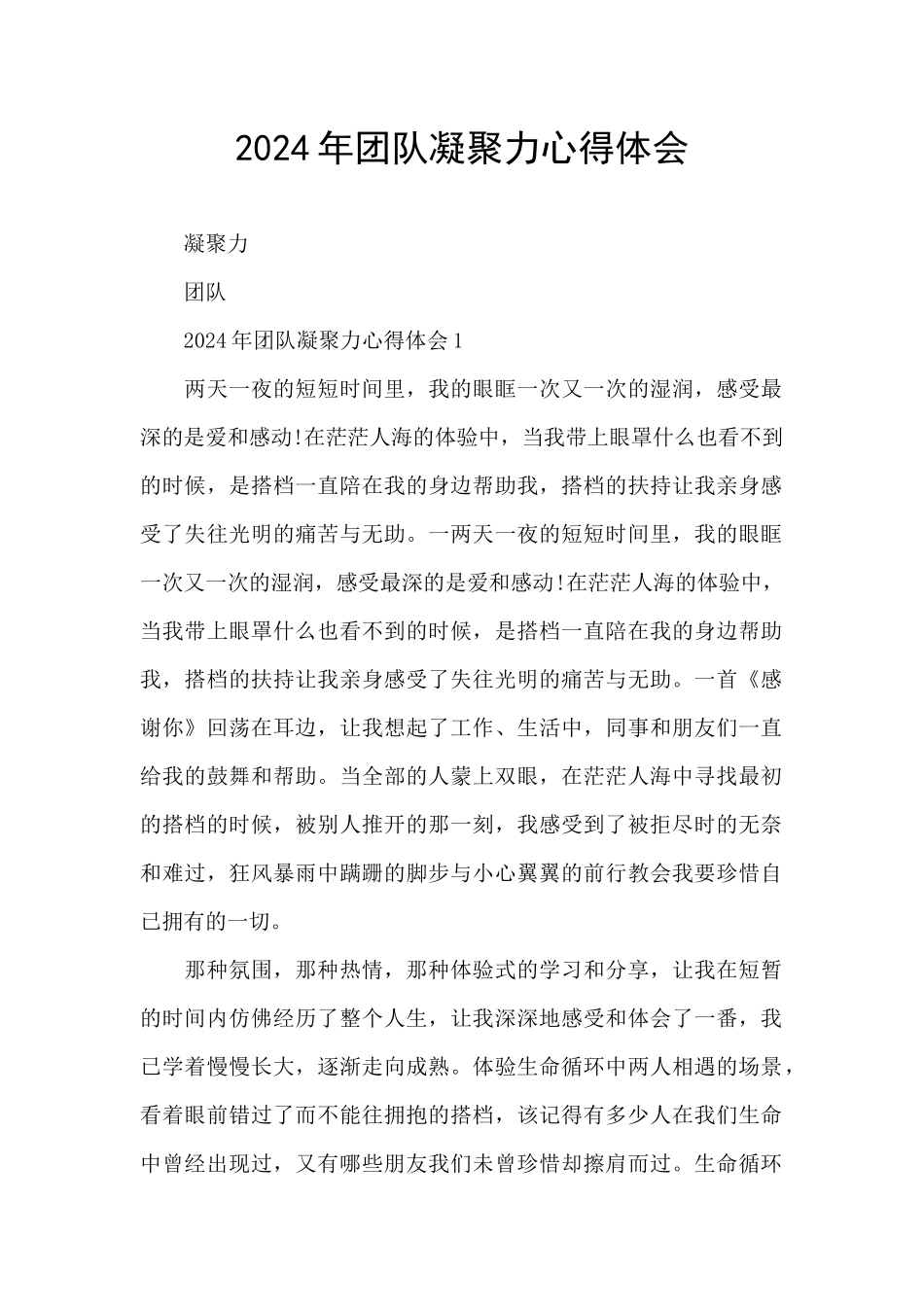 2024年团队凝聚力心得体会_第1页