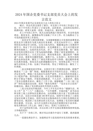 2024年国企党委书记支部党员大会上的发言范文