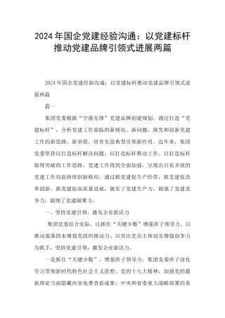 2024年国企党建经验交流：以党建标杆推进党建品牌引领式发展两篇