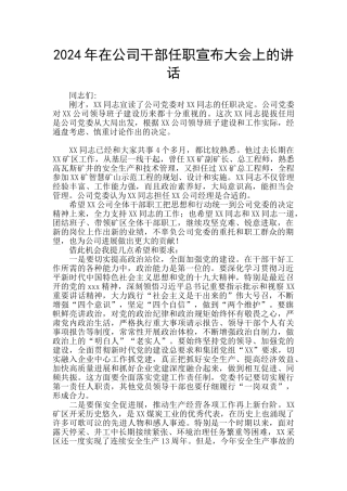 2024年在公司干部任职宣布大会上的讲话