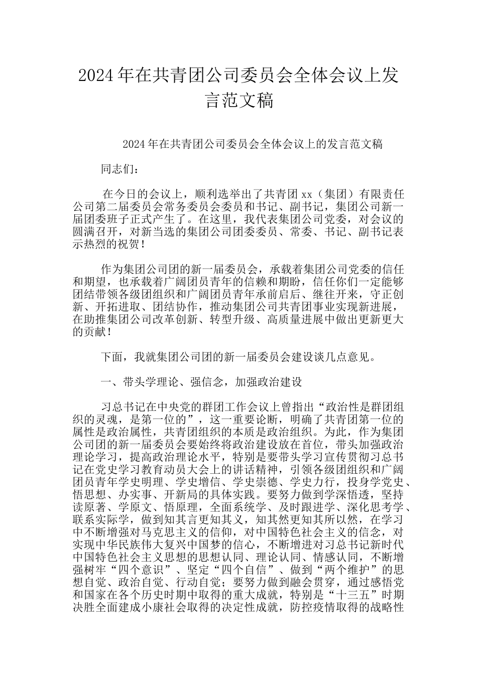 2024年在共青团公司委员会全体会议上发言范文稿_第1页