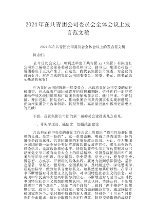 2024年在共青团公司委员会全体会议上发言范文稿