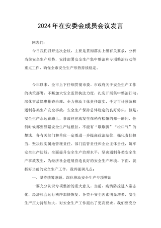 2024年在安委会成员会议发言