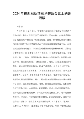 2024年在巡视反馈意见整改会议上的讲话稿