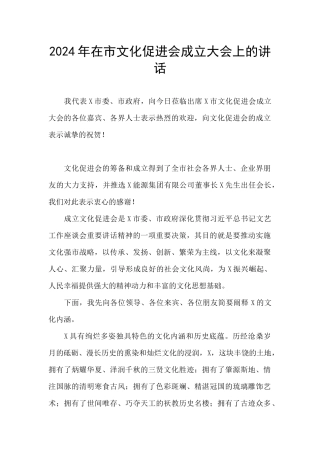 2024年在市文化促进会成立大会上的讲话