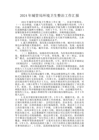 2024年城管局环境卫生整治工作汇报