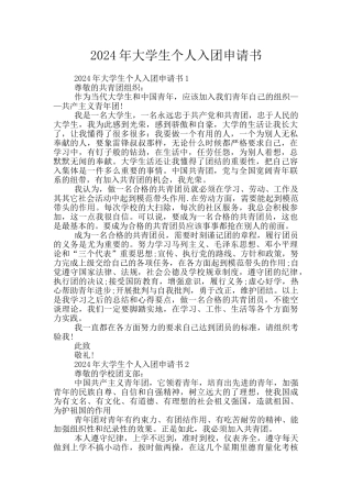 2024年大学生个人入团申请书