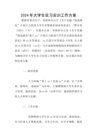 2024年大学生实习实训工作方案