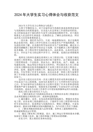 2024年大学生实习心得体会与收获范文