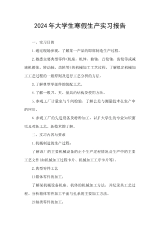 2024年大学生寒假生产实习报告