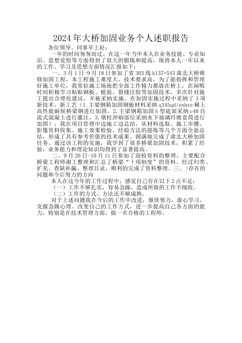 2024年大桥加固业务个人述职报告_第1页