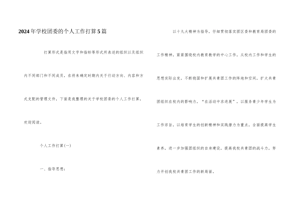 2024年学校团委的个人工作计划5篇_第1页