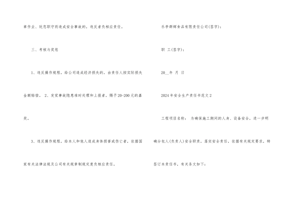 2024年安全生产责任书5篇_第3页