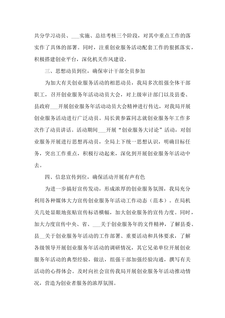 2024年审计办创业服务年度小结_第2页