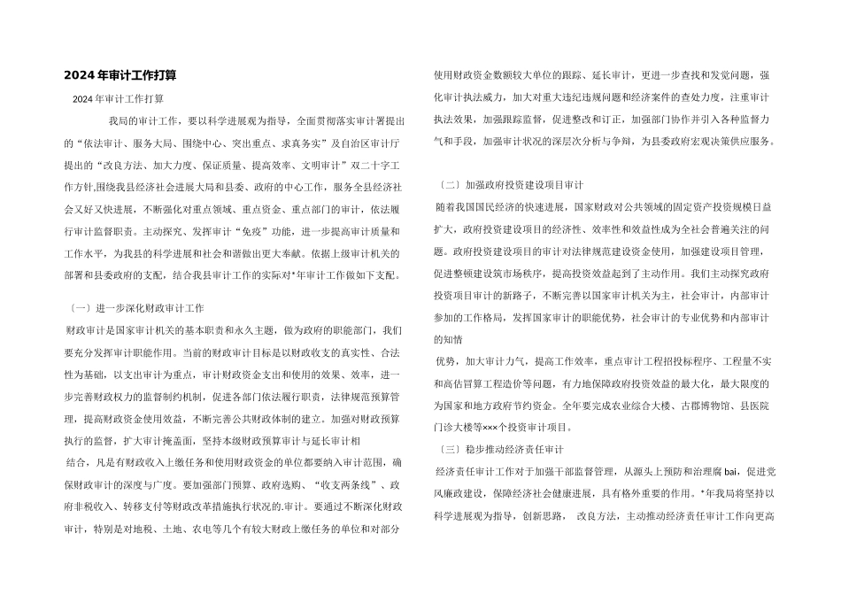 2024年审计工作计划_第1页