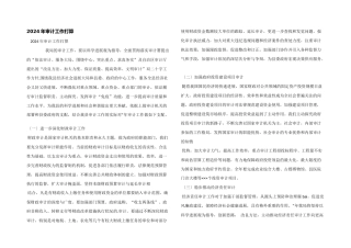 2024年审计工作计划
