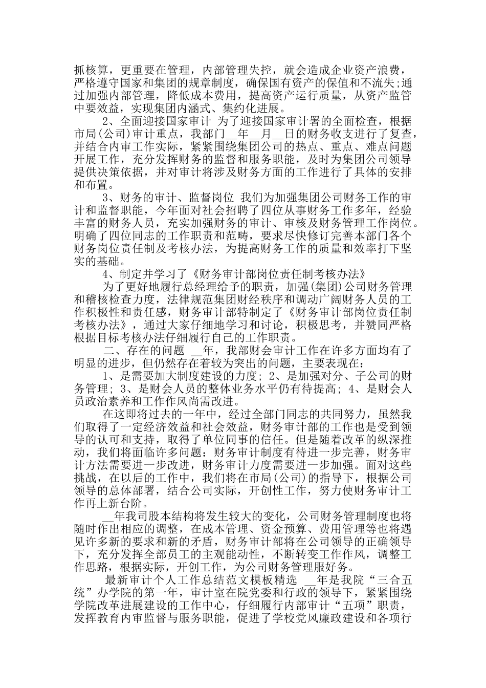 2024年审计个人工作总结_第3页