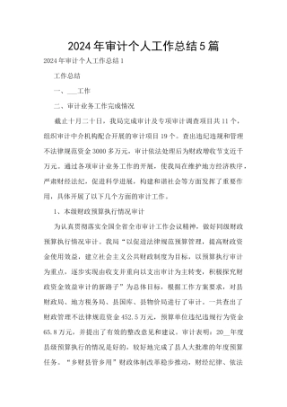 2024年审计个人工作总结5篇
