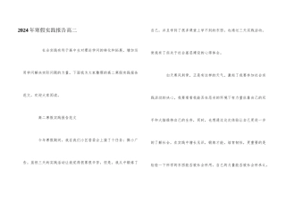 2024年寒假实践报告高二