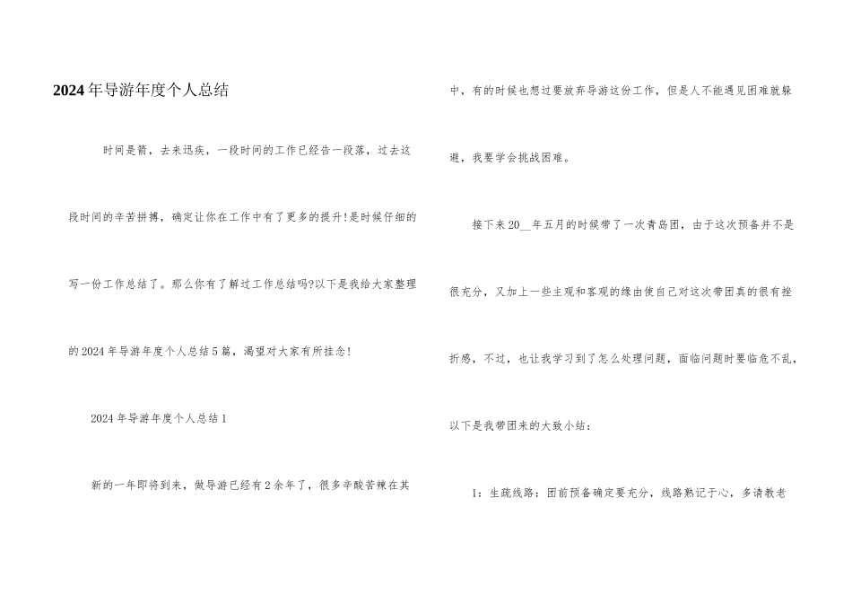 2024年导游年度个人总结_第1页