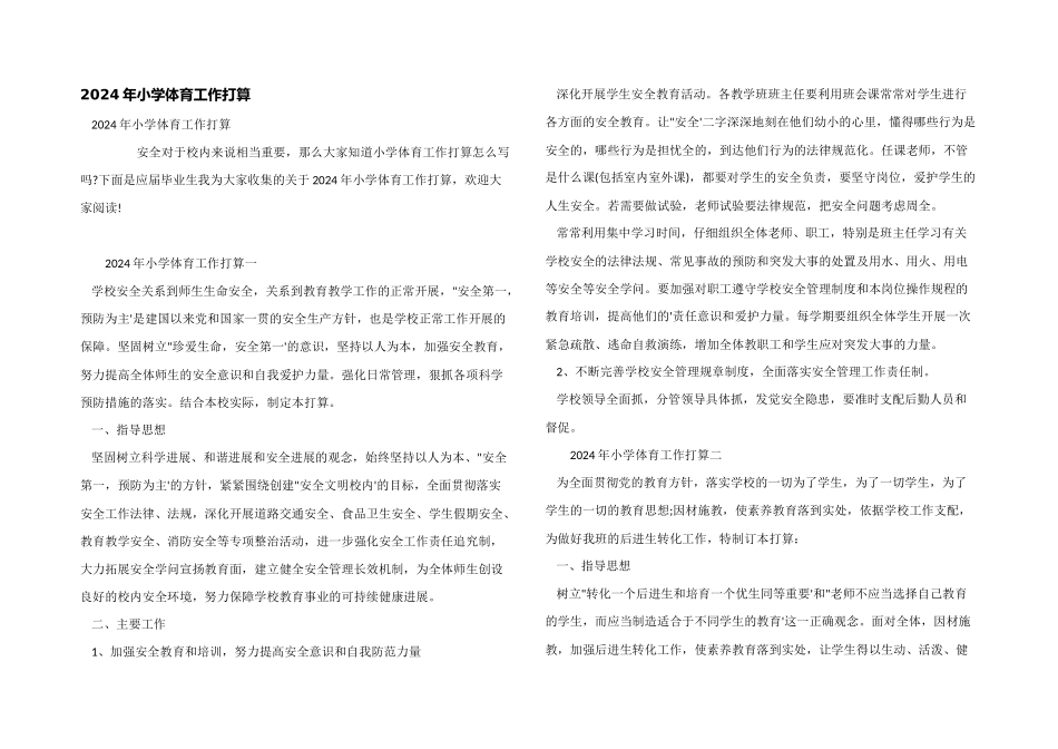 2024年小学体育工作计划_第1页