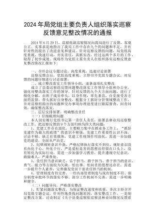 2024年局党组主要负责人组织落实巡察反馈意见整改情况的通报
