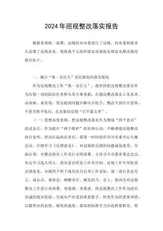 2024年巡视整改落实报告