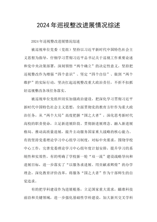 2024年巡视整改进展情况综述
