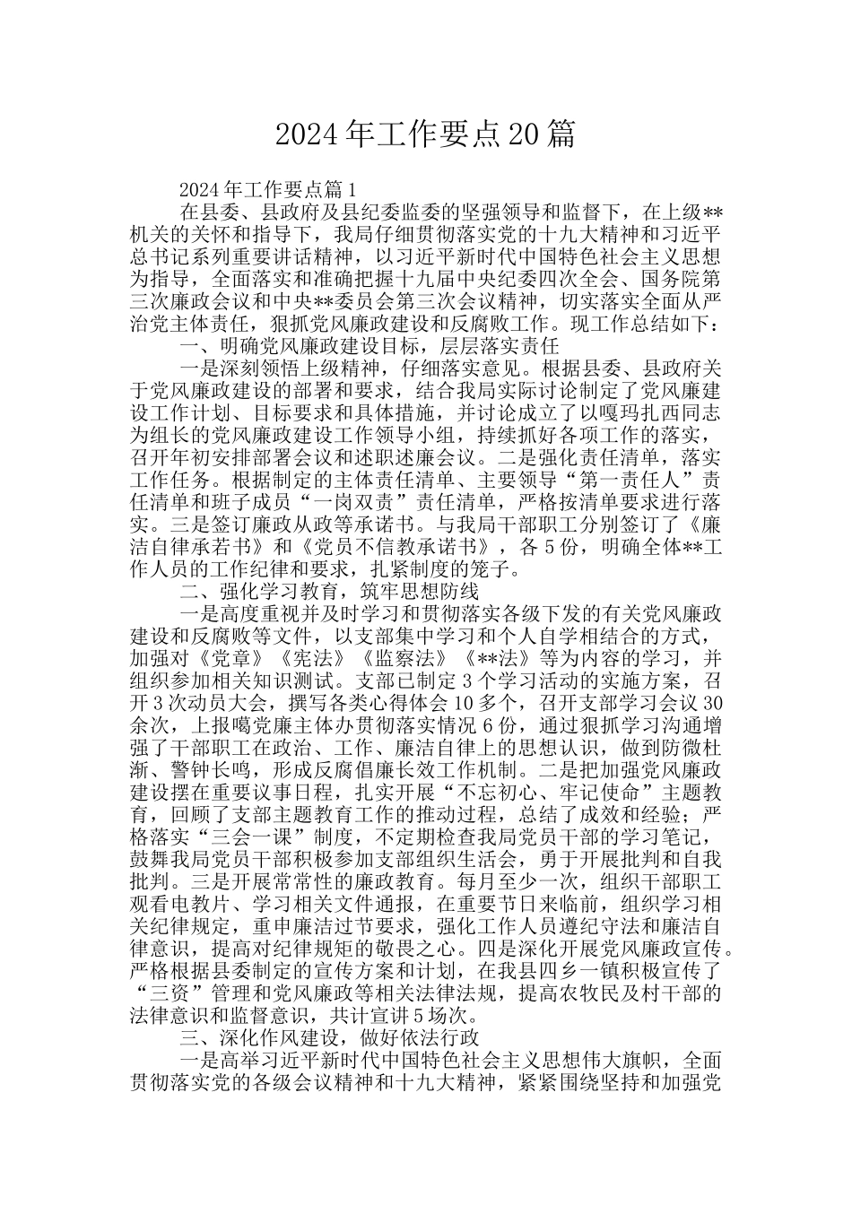 2024年工作要点20篇_第1页