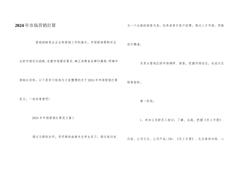 2024年市场营销计划_第1页
