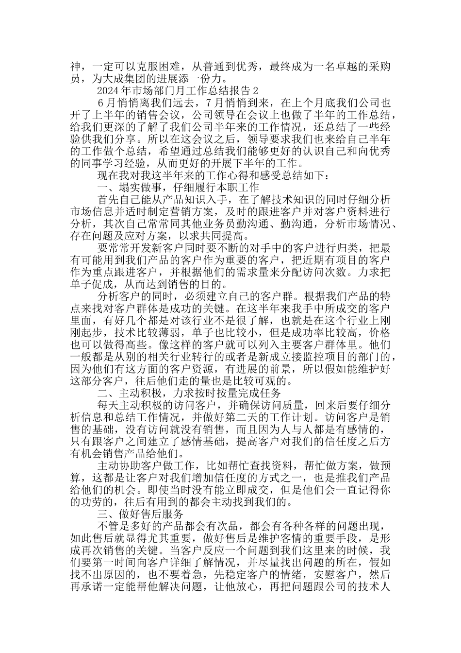 2024年市场部门月工作总结报告_第2页