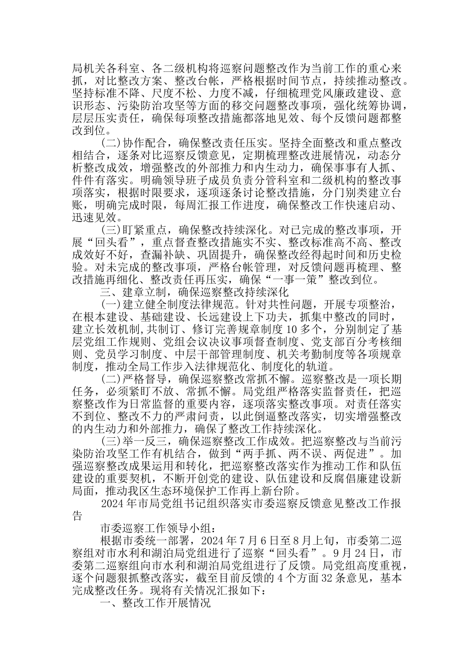 2024年市局党组书记组织落实市委巡察反馈意见整改工作报告_第2页