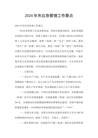 2024年市应急管理工作要点