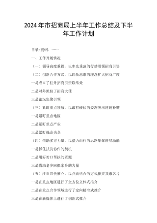 2024年市招商局上半年工作总结及下半年工作计划