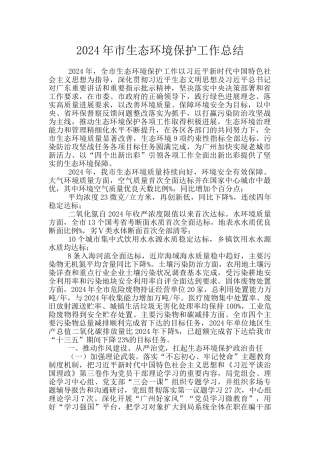 2024年市生态环境保护工作总结
