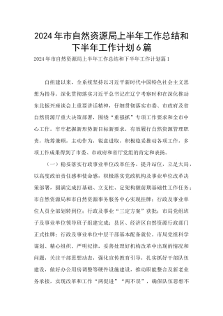 2024年市自然资源局上半年工作总结和下半年工作计划6篇