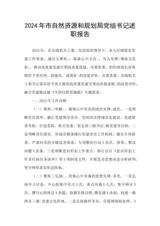 2024年市自然资源和规划局党组书记述职报告