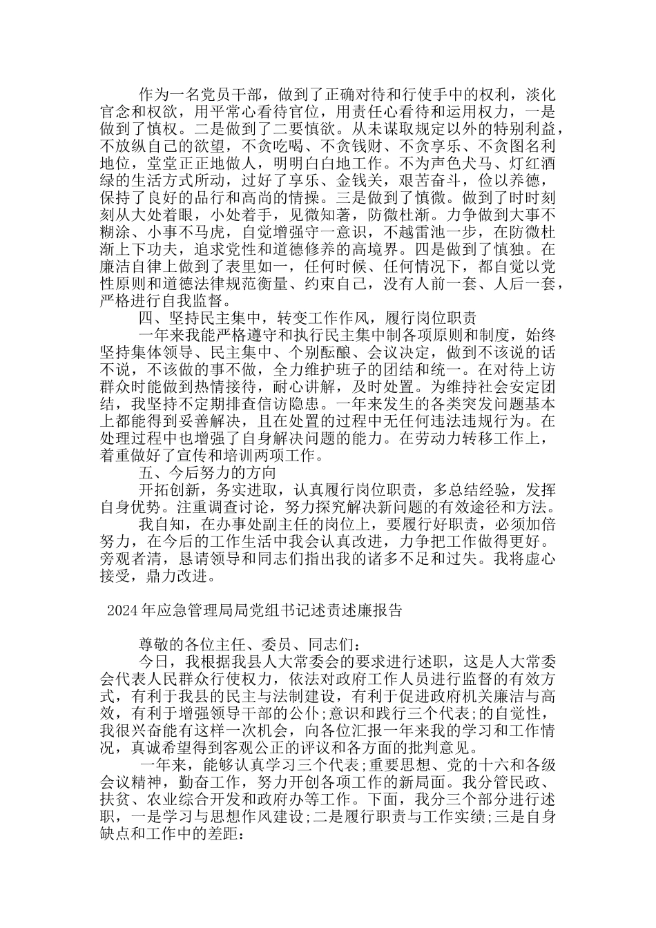 2024年应急管理局局党组书记述责述廉报告_第3页