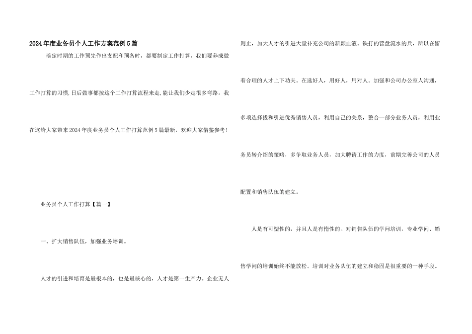 2024年度业务员个人工作计划范例5篇_第1页