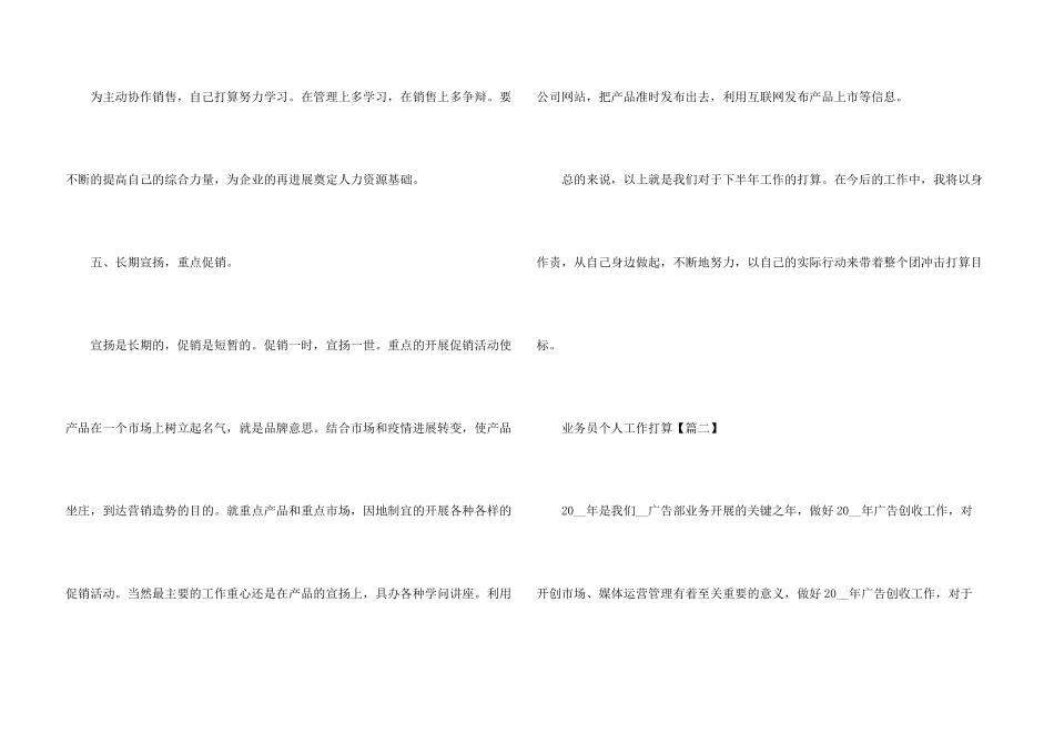 2024年度业务员个人工作计划范例5篇_第3页