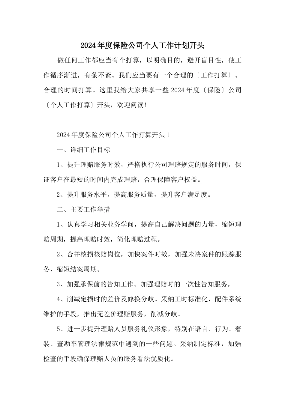 2024年度保险公司个人工作计划开头_第1页
