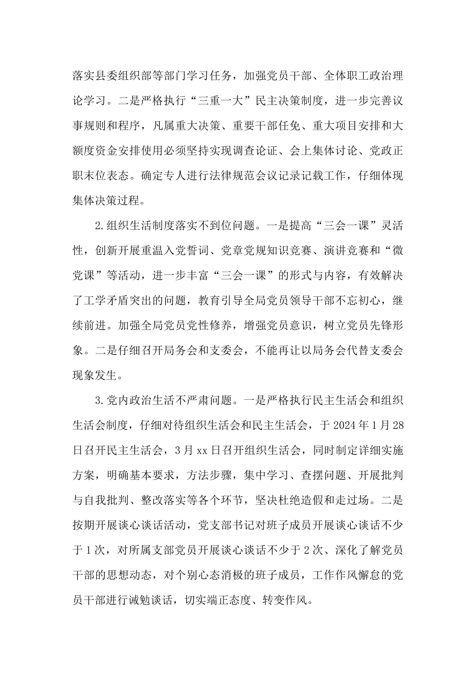 2024年度党支部巡察整改报告_第3页