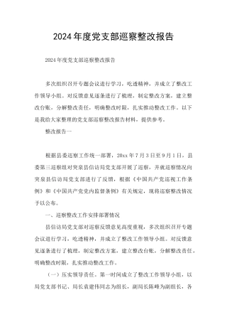 2024年度党支部巡察整改报告