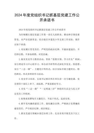 2024年度党组织书记抓基层党建工作公开承诺书