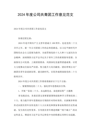 2024年度公司共青团工作意见范文