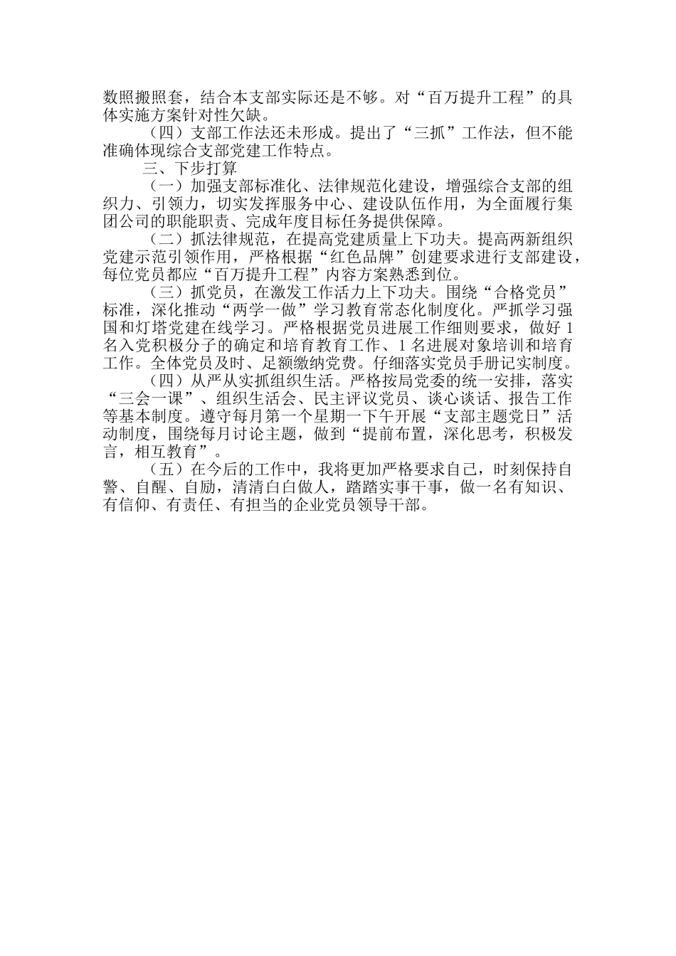 2024年度公司支部书记工作述职报告_第2页