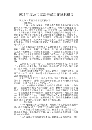 2024年度公司支部书记工作述职报告