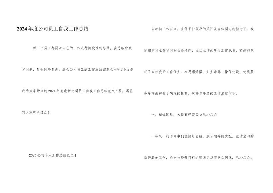 2024年度公司员工自我工作总结_第1页