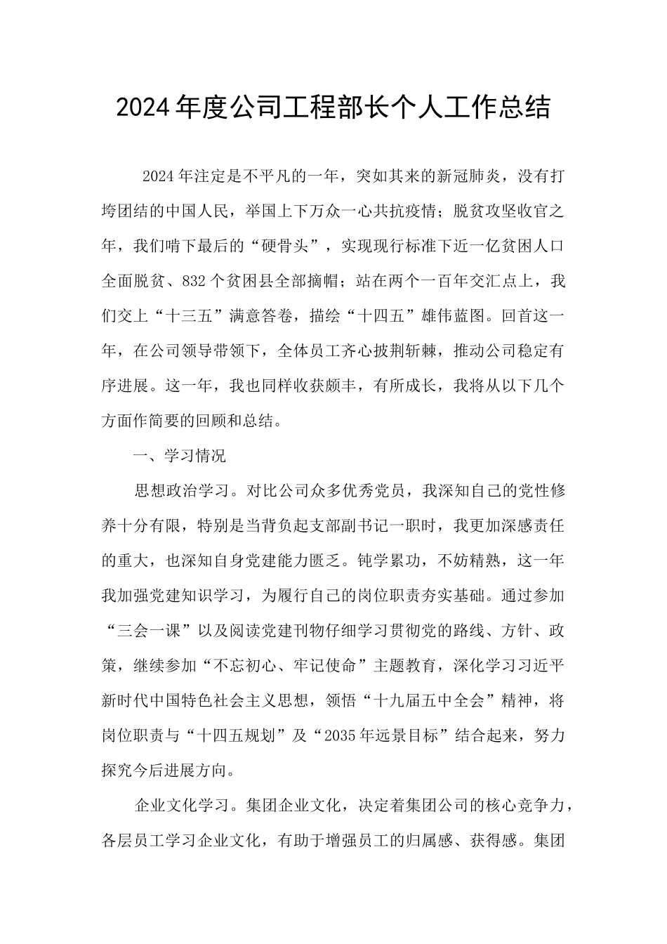 2024年度公司工程部长个人工作总结_第1页
